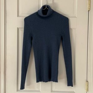 Everlane Merino Wool Turtleneck Sweater